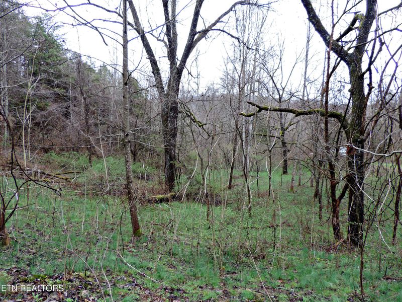 Lot 10 Hickory Springs Rd, Washburn, TN 37888