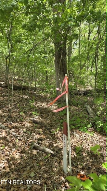 Lot 10 Keating Loop, Crossville, TN 38555