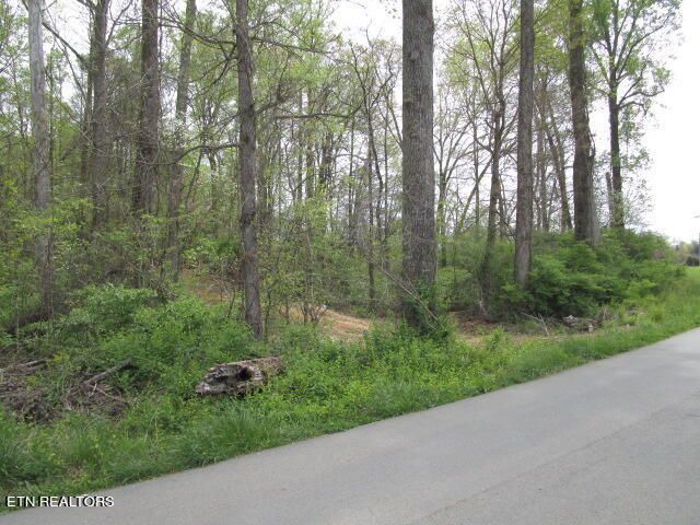 Lot 10 Mcbee Mill Rd, Blaine, TN 37709