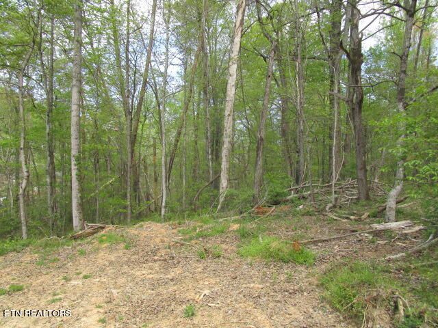 Lot 10 Mcbee Mill Rd, Blaine, TN 37709
