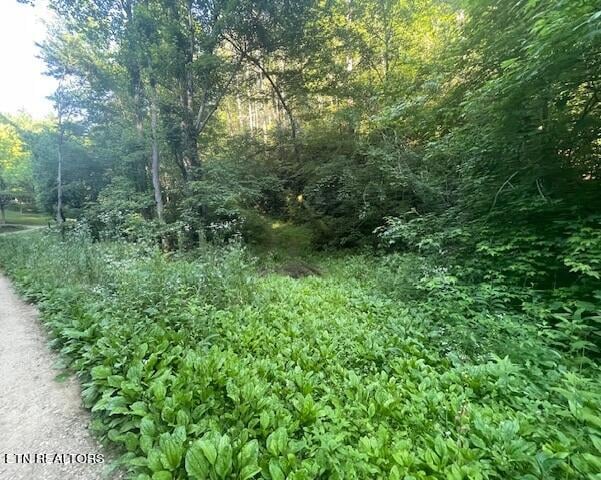 Lot 10 Newcombe Branch Rd, Cosby, TN 37722