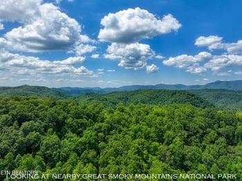 Lot 10 Newcombe Branch Rd, Cosby, TN 37722