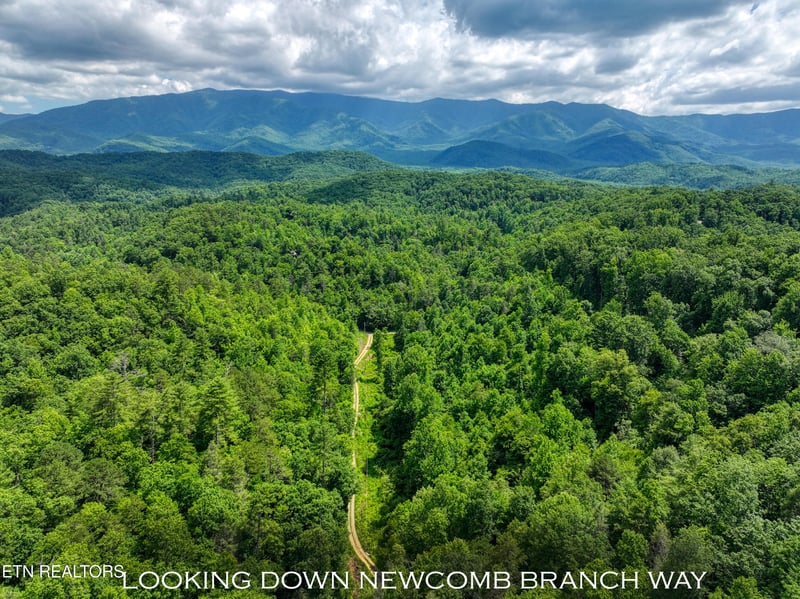 Lot 10 Newcombe Branch Rd, Cosby, TN 37722