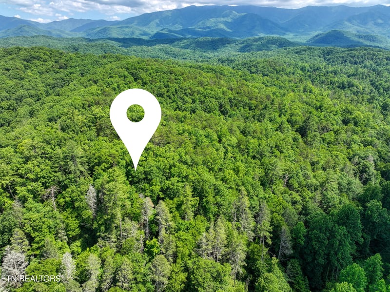 Lot 10 Newcombe Branch Rd, Cosby, TN 37722
