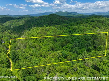Lot 10 Newcombe Branch Rd, Cosby, TN 37722
