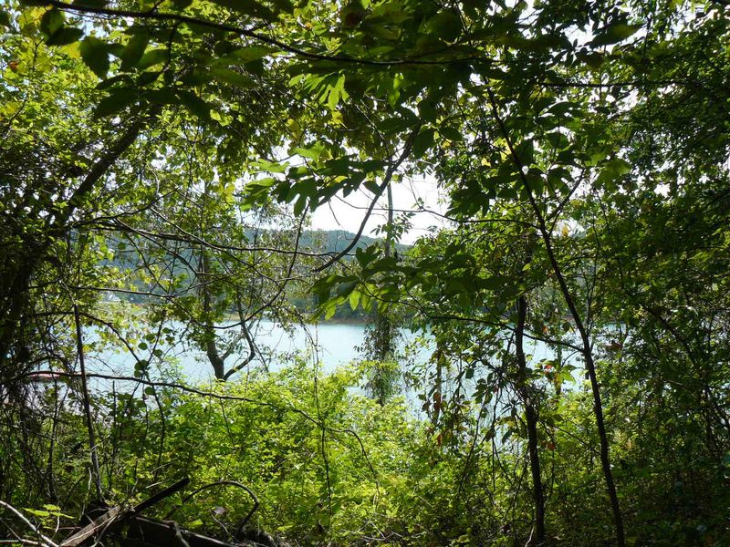 Lot 10 Old Leadmine Bend Rd, Sharps Chapel, TN 37866