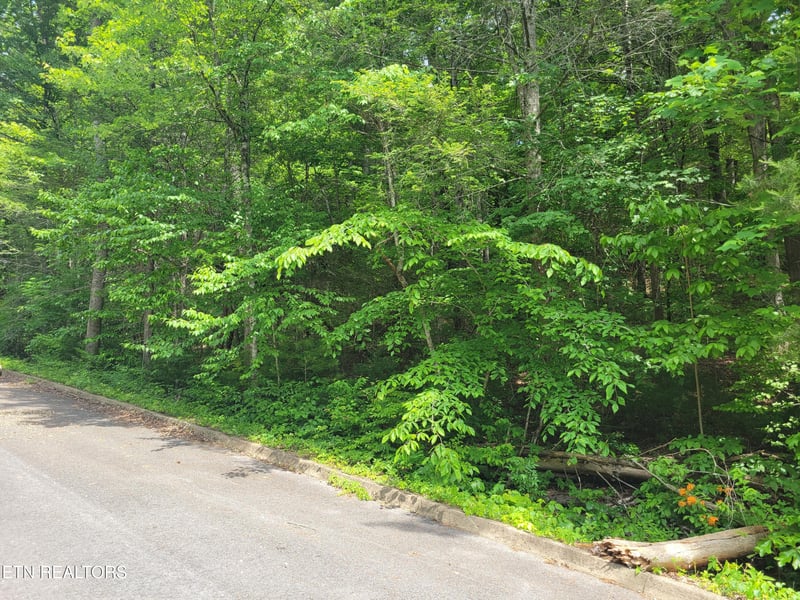 Lot 10 Rail Hill Ln, Cosby, TN 37722