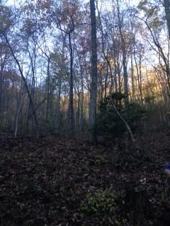 Lot 10 Reagan Springs, Townsend, TN 37882