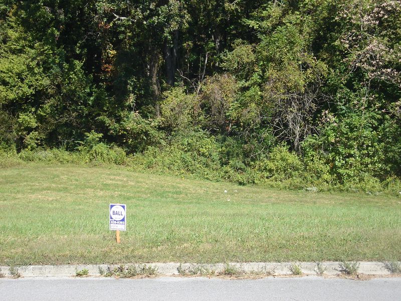 Lot 10 Redbird Ln, Rutledge, TN 37861