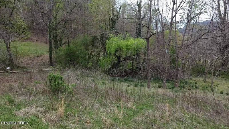 Lot 10 Thomas Headrick Rd, Sevierville, TN 37862