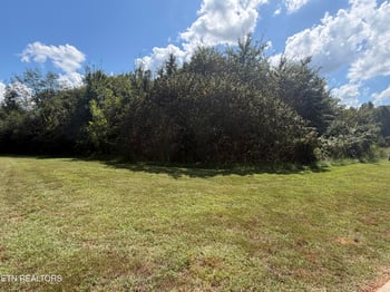 Lot 101 Falcon, Vonore, TN 37885