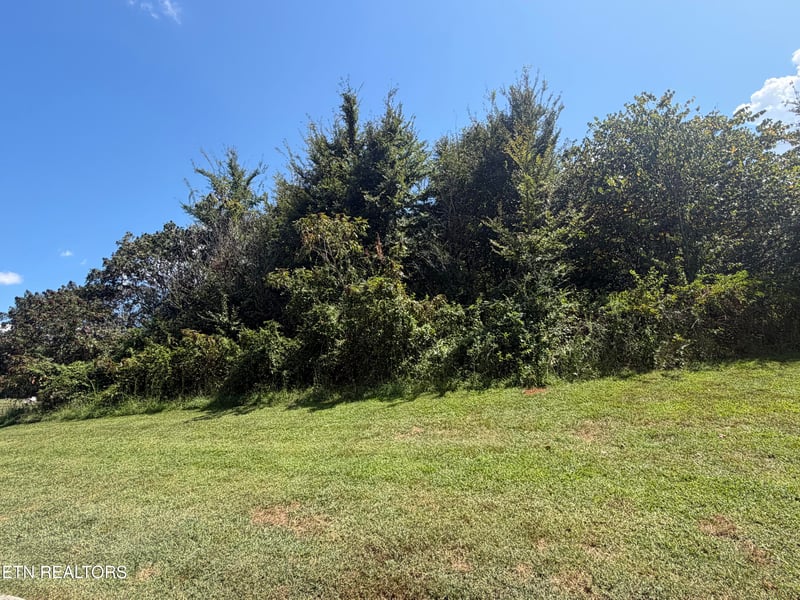 Lot 101 Falcon, Vonore, TN 37885