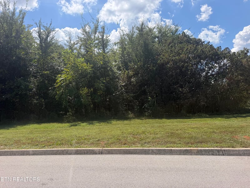 Lot 101 Falcon, Vonore, TN 37885