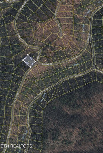 Lot 103 Buckeye Rd, Sevierville, TN 37876
