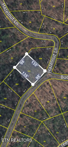 Lot 103 Buckeye Rd, Sevierville, TN 37876