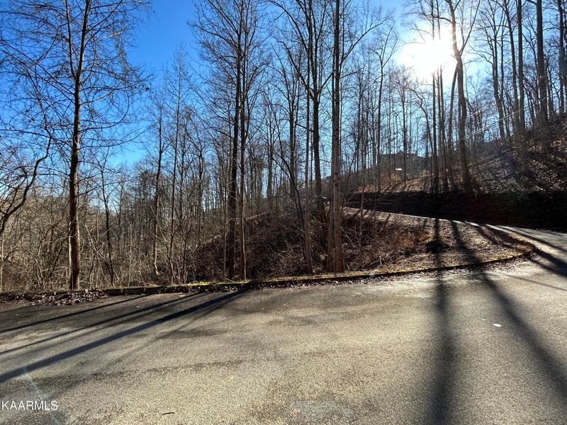 Lot 106 Bluff Ridge Rd, Sevierville, TN 37862
