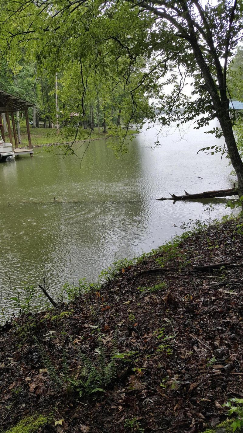 Lot 109 Treasure Tree Rd, Ten Mile, TN 37880