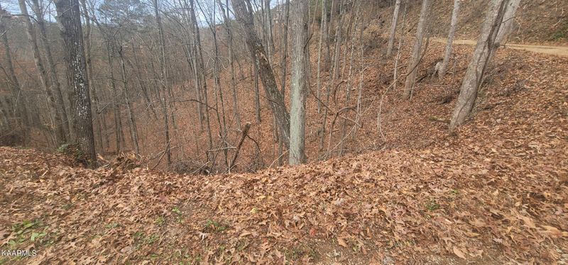Lot 10AE Red Bone Way, Sevierville, TN 37876