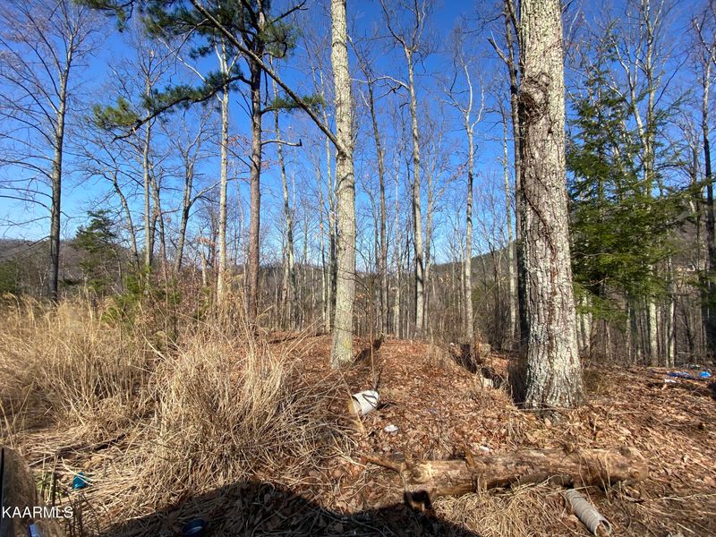 Lot 11 Aspen Ct, Sevierville, TN 37876