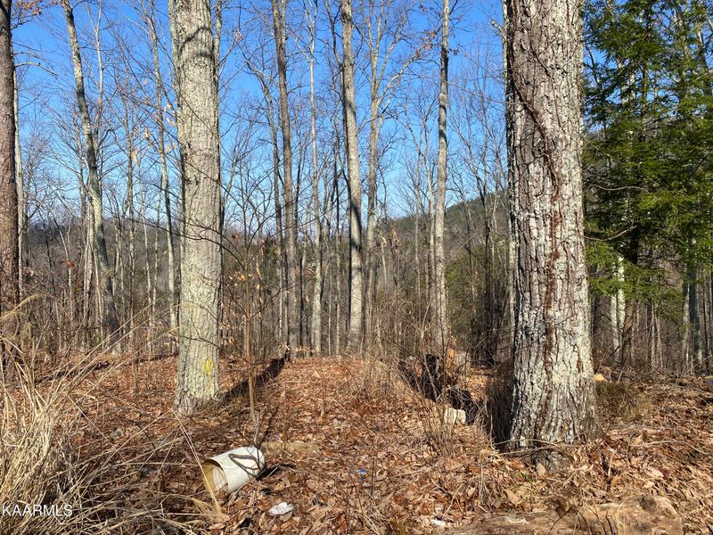 Lot 11 Aspen Ct, Sevierville, TN 37876