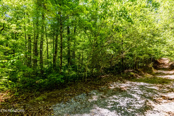 Lot 11 Bobcat Tr, Tallassee, TN 37878