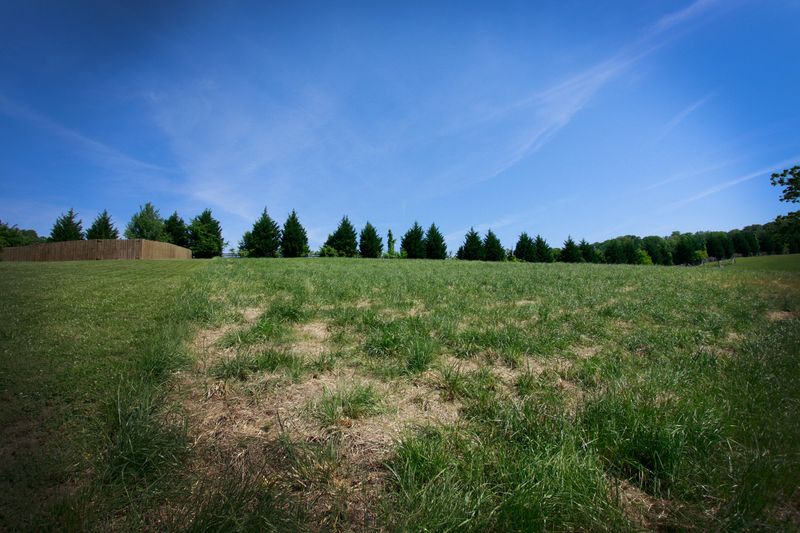 Lot 11 Chesney Meadows Dr, Strawberry Plains, TN 37871