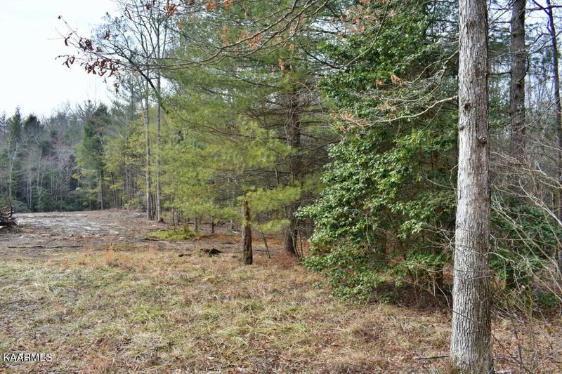 Lot 11 Crest View Dr, Sunbright, TN 37872