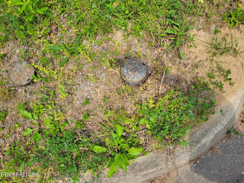 Lot 11 Peace Ln, Cosby, TN 37722