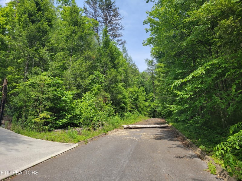Lot 11 Peace Ln, Cosby, TN 37722