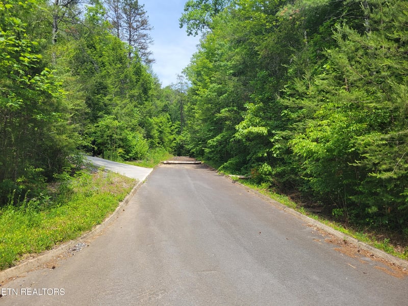 Lot 11 Peace Ln, Cosby, TN 37722