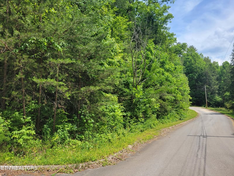 Lot 11 Peace Ln, Cosby, TN 37722