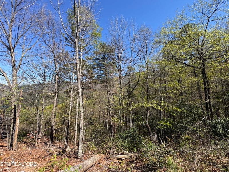 Lot 11 Perry Circle Ln, Sevierville, TN 37862