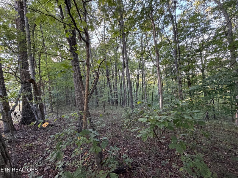 Lot 11 Poston, Monterey, TN 38574