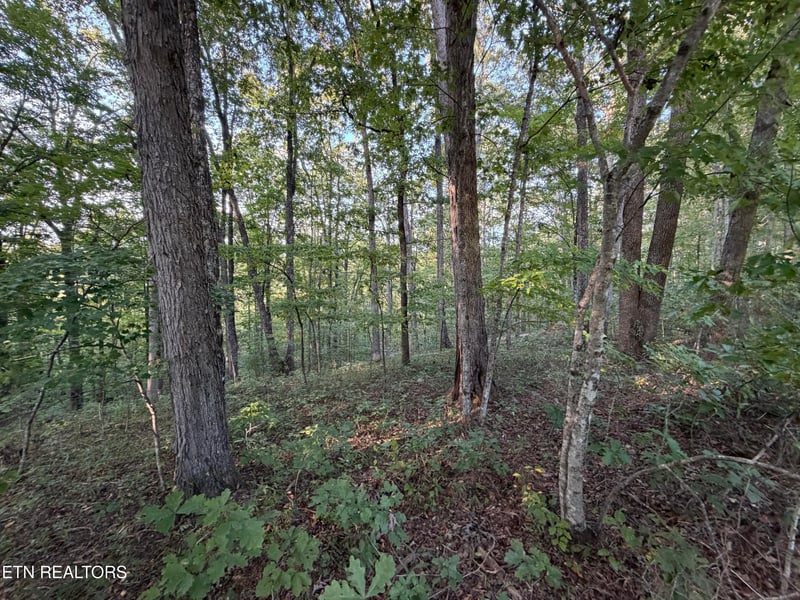 Lot 11 Poston, Monterey, TN 38574