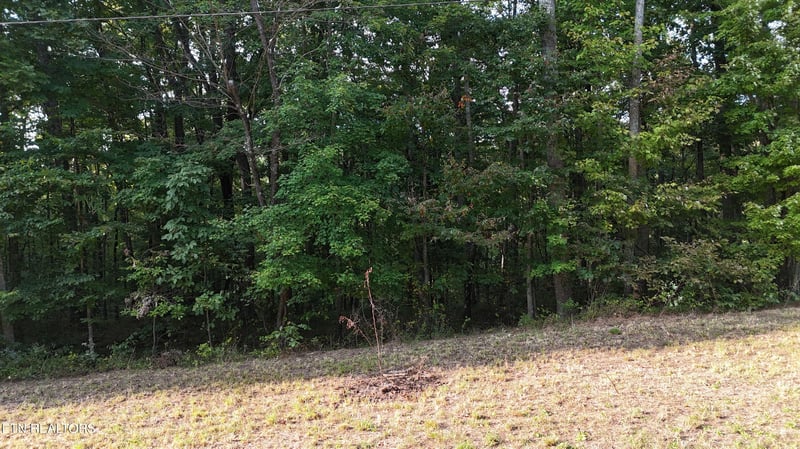 Lot 11 Poston, Monterey, TN 38574