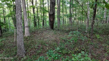 Lot 11 Poston, Monterey, TN 38574