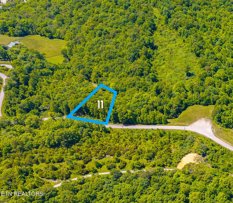 Lot 11 Saddleridge Dr, Speedwell, TN 37870