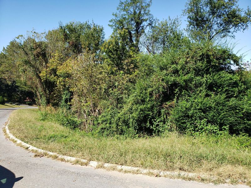 Lot 11 Stirrup Ln, Pigeon Forge, TN 37863