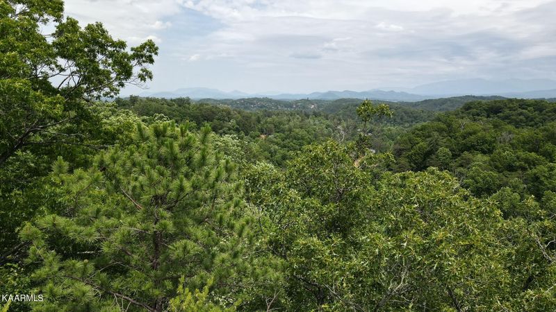 Lot 110 Bluff Ridge Rd, Sevierville, TN 37876