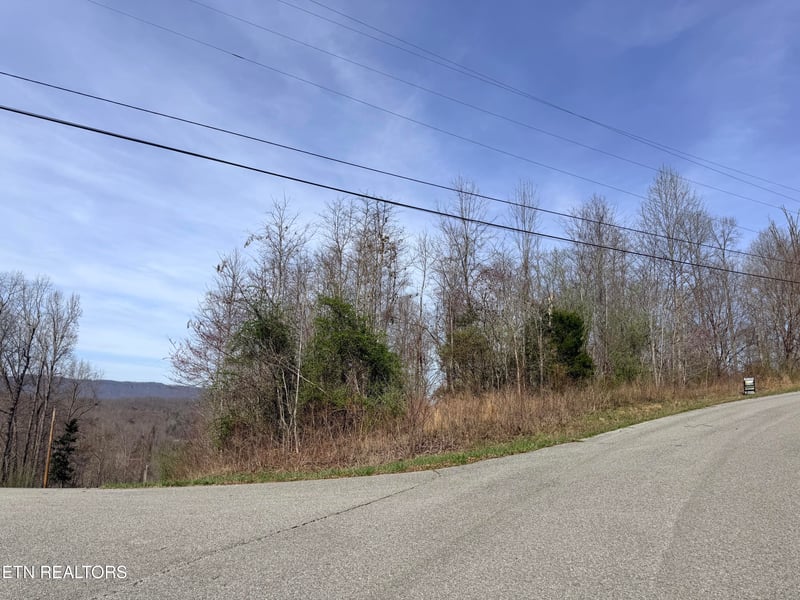 Lot 110 Harness Ln, Speedwell, TN 37870