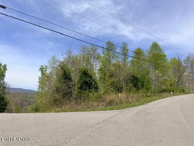 Lot 110 Harness Ln, Speedwell, TN 37870