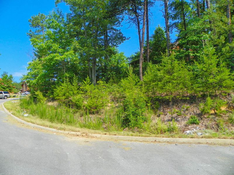 Lot 116 Hackberry Dr, Sevierville, TN 37862