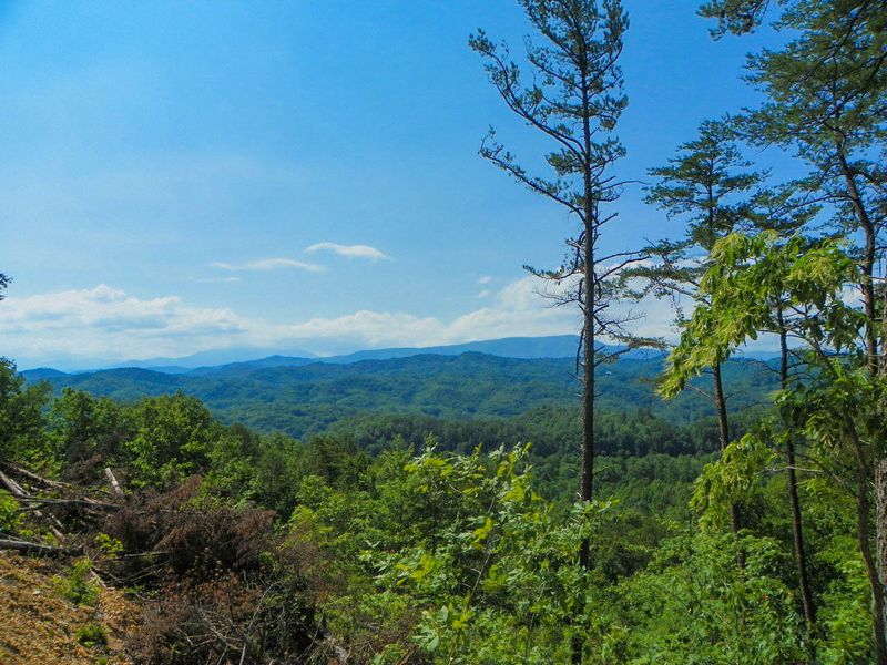 Lot 116 Hackberry Dr, Sevierville, TN 37862