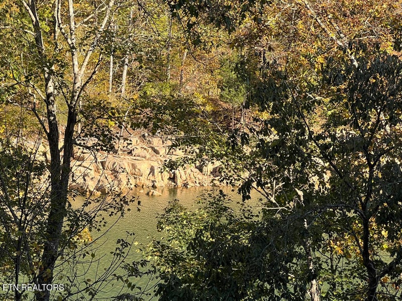Lot 117 Saddleridge Dr, Speedwell, TN 37870