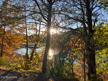 Lot 117 Saddleridge Dr, Speedwell, TN 37870