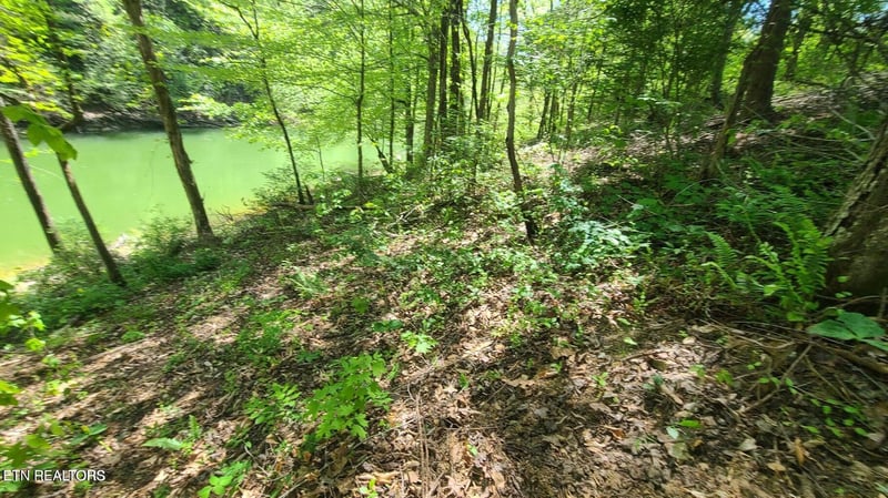 Lot 117A Claiborne Rd, Lafollette, TN 37766