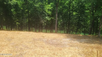 Lot 117A Claiborne Rd, Lafollette, TN 37766