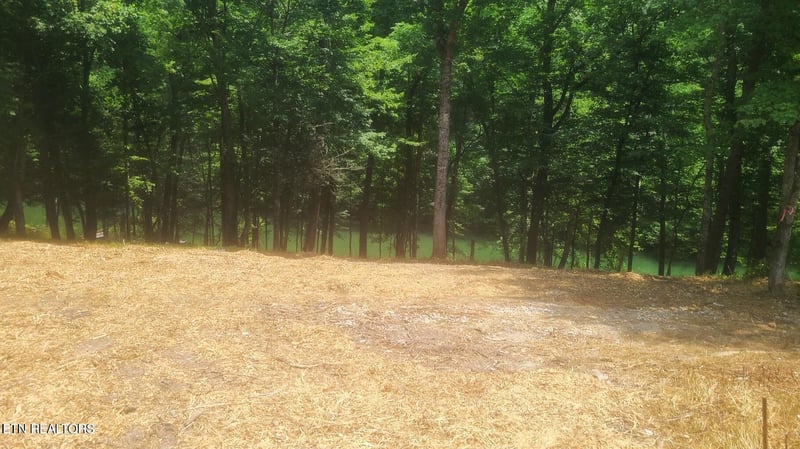 Lot 117A Claiborne Rd, Lafollette, TN 37766