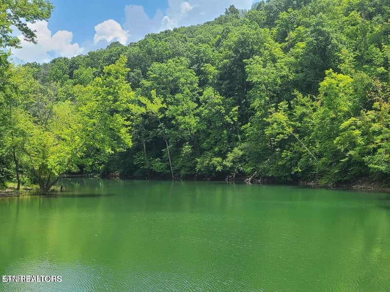 Lot 117A Claiborne Rd, Lafollette, TN 37766