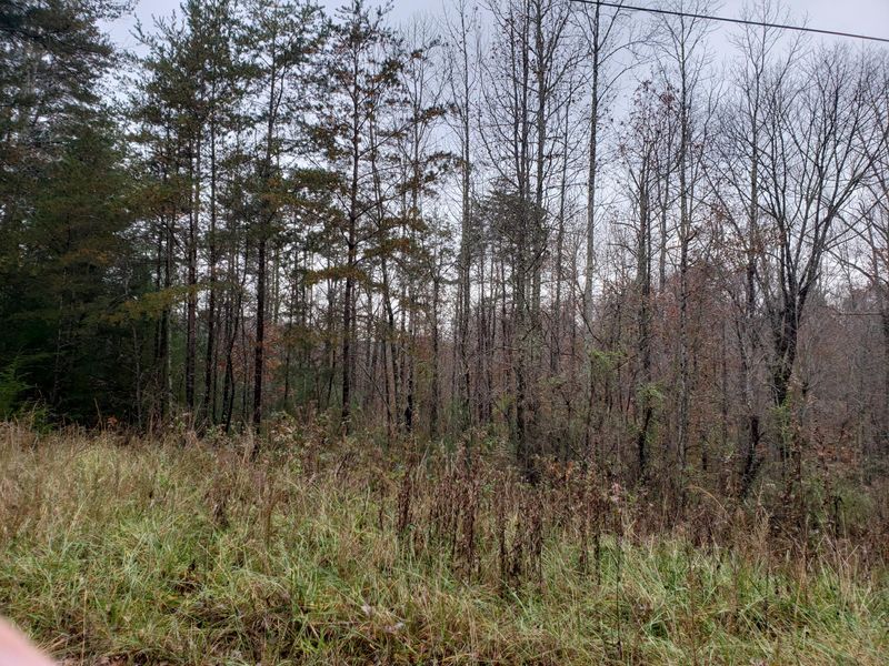 Lot 12 Doyle Garrison Ln, Grandview, TN 37337